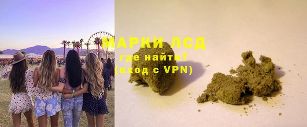 хмурый Ельня