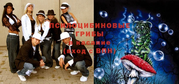 молекула духа Белоозёрский