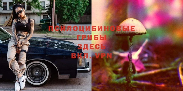 ПСИЛОЦИБИНОВЫЕ ГРИБЫ Белокуриха
