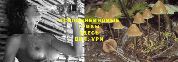 стафф Елабуга