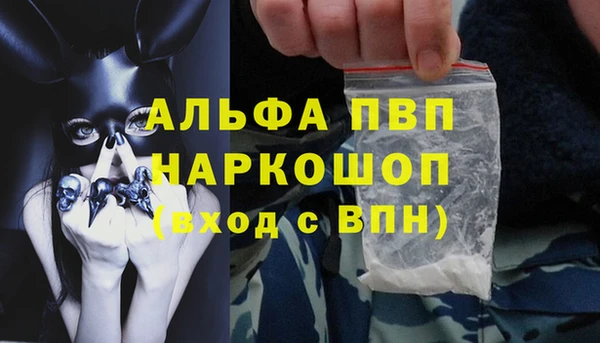 молекула духа Белоозёрский