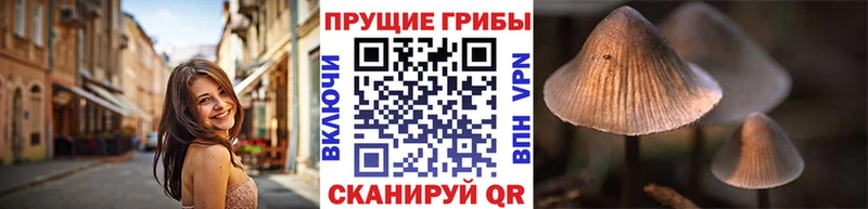 Галлюциногенные грибы мухоморы  Обь 